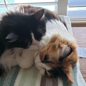 Meet your Posher, Julie